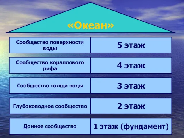 «Океан» Сообщество поверхности воды 5 этаж Сообщество кораллового рифа 4