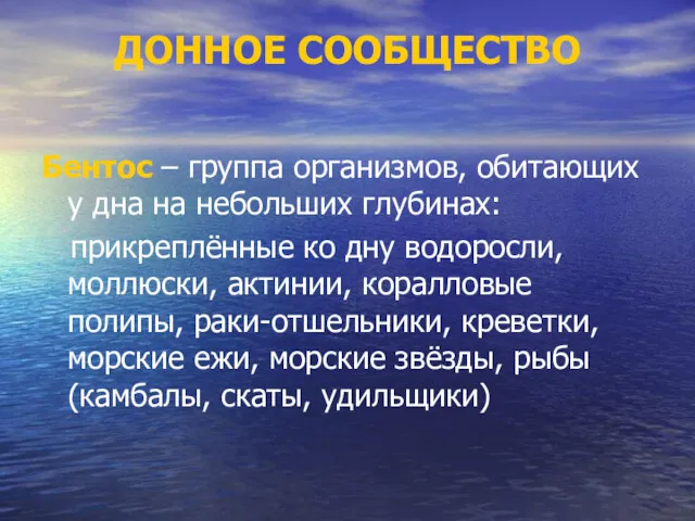 ДОННОЕ СООБЩЕСТВО Бентос – группа организмов, обитающих у дна на