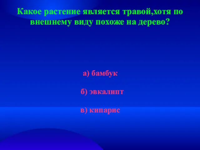 Какое растение является травой,хотя по внешнему виду похоже на дерево? а) бамбук б) эвкалипт в) кипарис