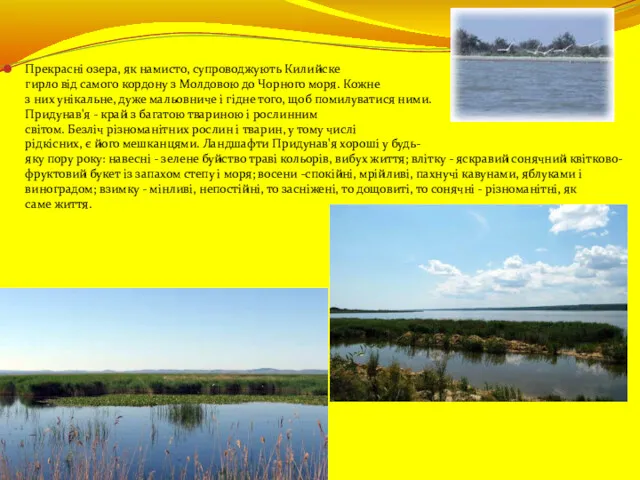 Прекрасні озера, як намисто, супроводжують Килийске гирло від самого кордону з Молдовою до
