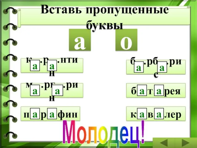 к…в…лер б…т…рея б…рб…рис п…р…фин м…рг…рин к…р…нтин а о а а