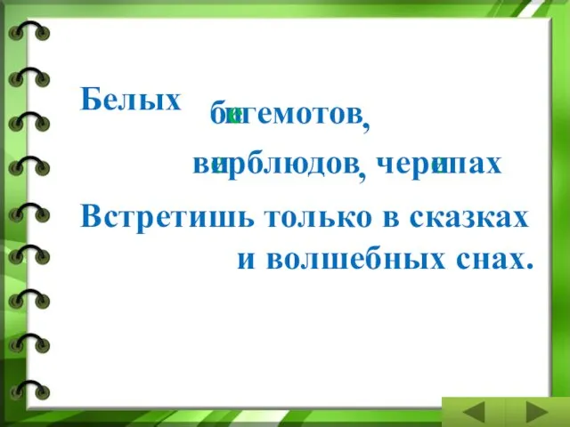 Белых б и е гемотов , в и рблюдов е