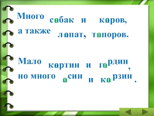 Много с а бак а также о т ртин а