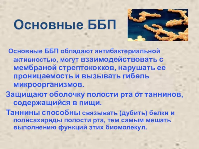 Основные ББП Основные ББП обладают антибактериальной активностью, могут взаимодействовать с