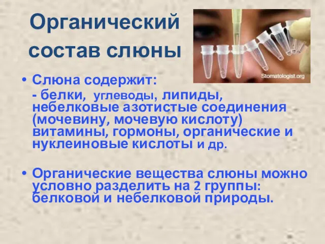 Органический состав слюны Слюна содержит: - белки, углеводы, липиды, небелковые