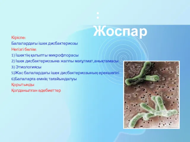 : Жоспар Кіріспе: Балалардағы ішек дисбактериозы Негізгі бөлім: 1) Ішектің