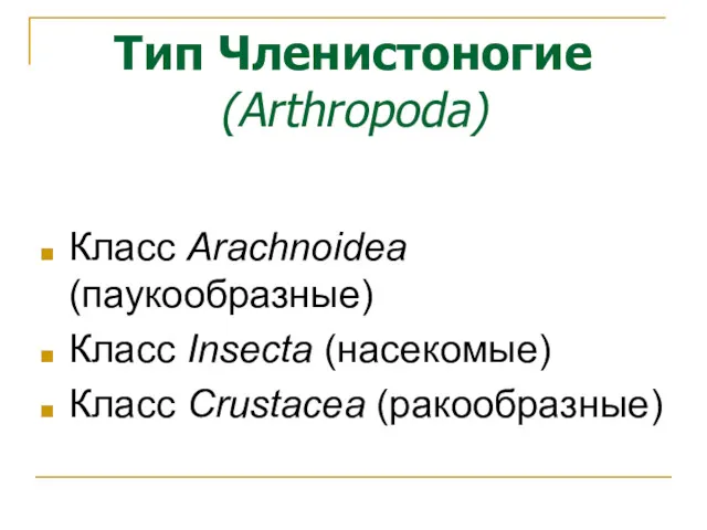 Тип Членистоногие (Arthropoda) Класс Arachnoidea (паукообразные) Класс Insecta (насекомые) Класс Crustacea (ракообразные)