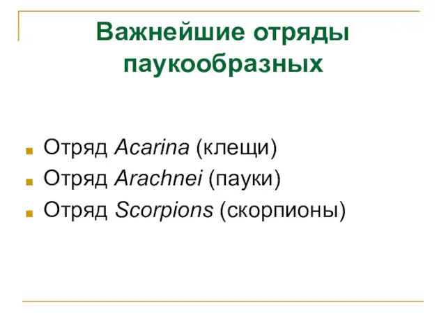 Важнейшие отряды паукообразных Отряд Acarina (клещи) Отряд Arachnei (пауки) Отряд Scorpions (скорпионы)