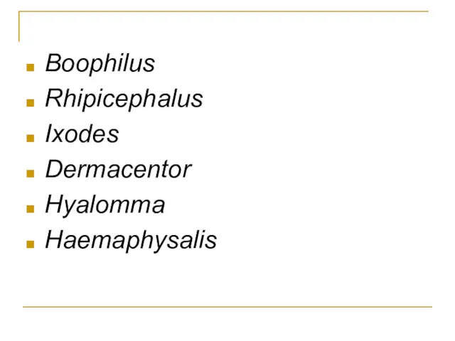 Boophilus Rhipicephalus Ixodes Dermacentor Hyalomma Haemaphysalis
