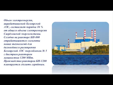 Объем электроэнергии, вырабатываемой Белоярской АЭС, составляет порядка 16 % от