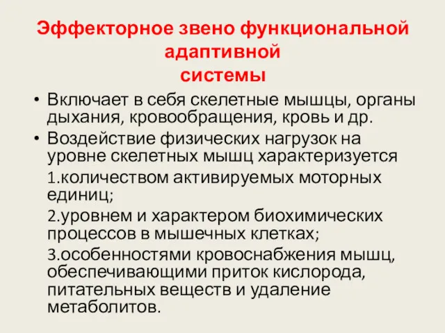 Эффекторное звено функциональной адаптивной системы Включает в себя скелетные мышцы,