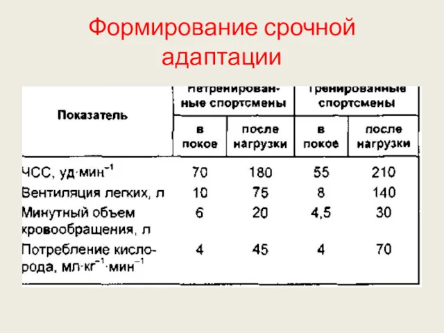 Формирование срочной адаптации