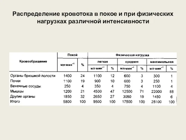 Распределение кровотока в покое и при физических нагрузках различной интенсивности