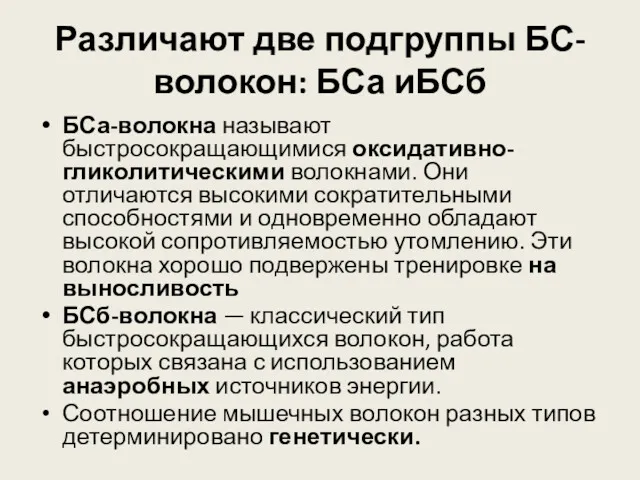 Различают две подгруппы БС-волокон: БСа иБСб БСа-волокна называют быстросокращающимися оксидативно-гликолитическими