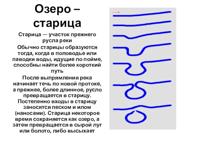 Озеро – старица Старица — участок прежнего русла реки Обычно