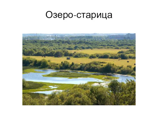 Озеро-старица