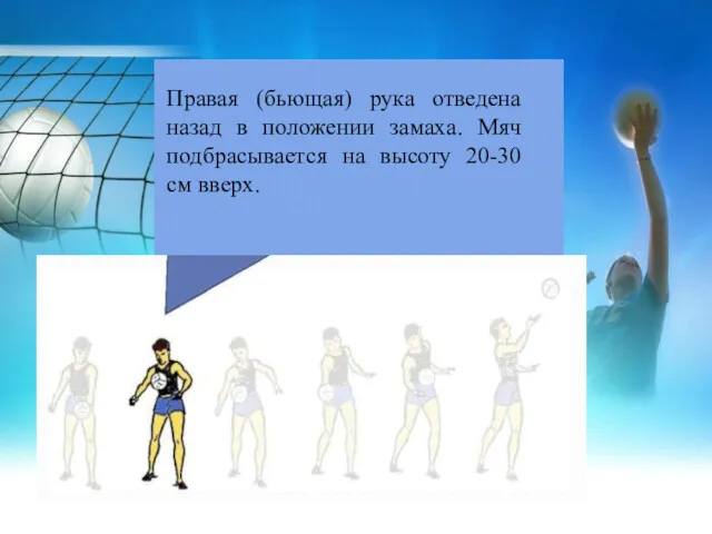 Правая (бьющая) рука отведена назад в положении замаха. Мяч подбрасывается на высоту 20-30 см вверх.