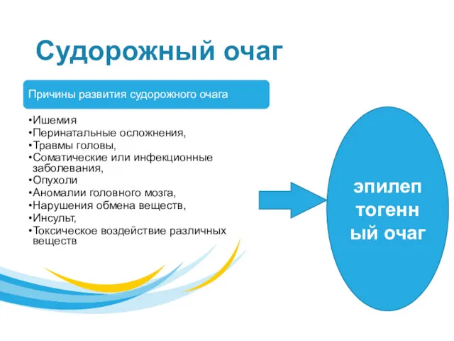 Судорожный очаг Причины развития судорожного очага Ишемия Перинатальные осложнения, Травмы