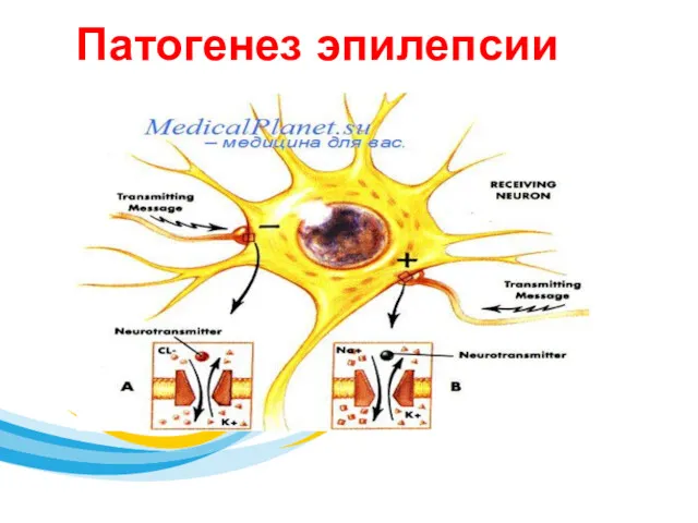 Патогенез эпилепсии