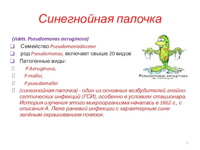 Синегнойная палочка (лат. Pseudomonas aeruginosa) Семейство Pseudomonadaceae род Pseudomonas, включает свыше 20 видов