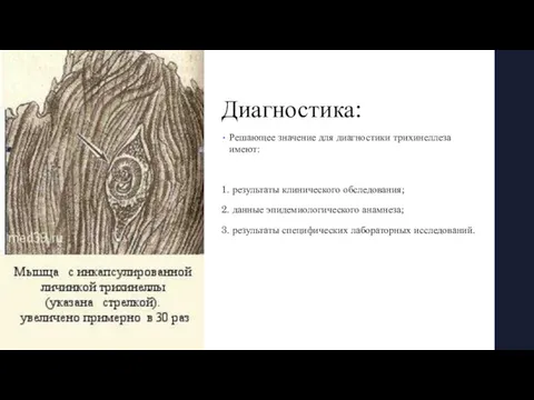 Диагностика: Решающее значение для диагностики трихинеллеза имеют: 1. результаты клинического