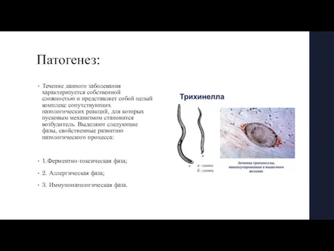 Патогенез: Течение данного заболевания характеризуется собственной сложностью и представляет собой