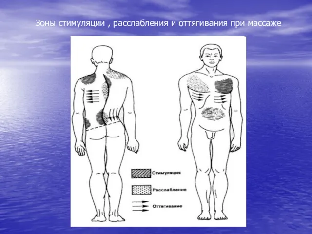 Зоны стимуляции , расслабления и оттягивания при массаже