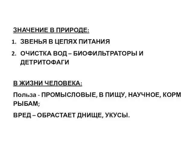 ЗНАЧЕНИЕ В ПРИРОДЕ: ЗВЕНЬЯ В ЦЕПЯХ ПИТАНИЯ ОЧИСТКА ВОД –