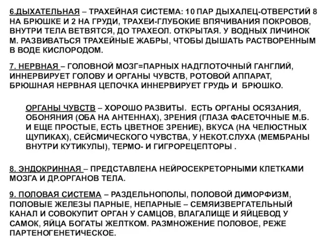 6.ДЫХАТЕЛЬНАЯ – ТРАХЕЙНАЯ СИСТЕМА: 10 ПАР ДЫХАЛЕЦ-ОТВЕРСТИЙ 8 НА БРЮШКЕ