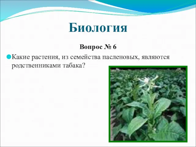Биология Вопрос № 6 Какие растения, из семейства пасленовых, являются родственниками табака?