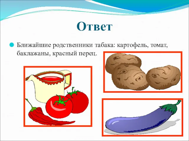 Ответ Ближайшие родственники табака: картофель, томат, баклажаны, красный перец.