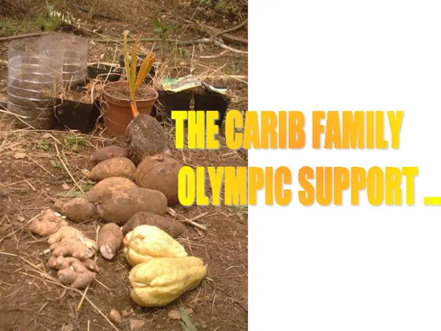 THE CARIB FAMILY OLYMPIC SUPPORT ...