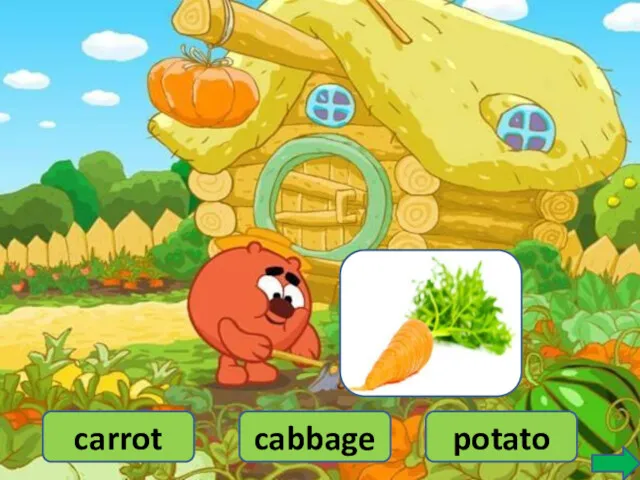 carrot cabbage potato