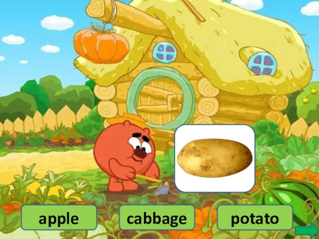 potato cabbage apple