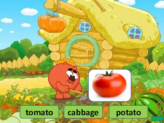 tomato cabbage potato