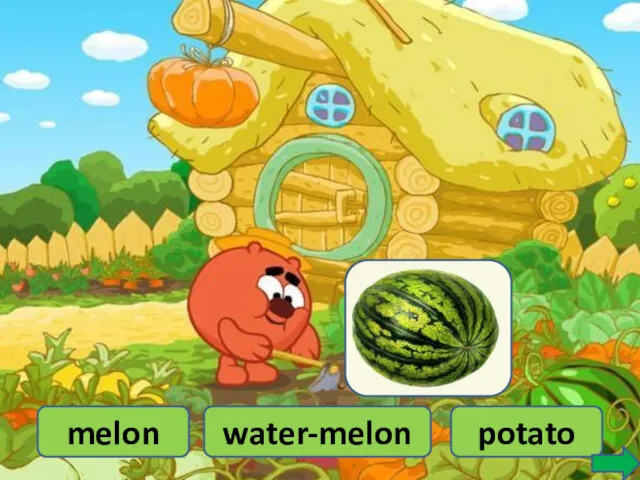 melon water-melon potato