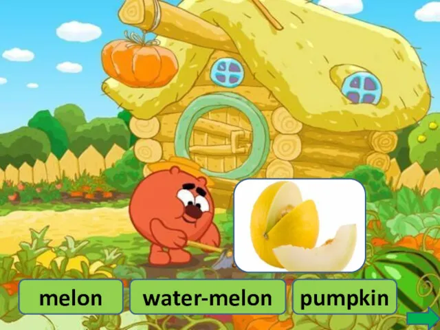 melon water-melon pumpkin