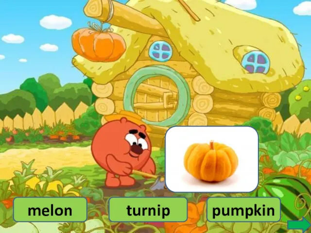 melon turnip pumpkin