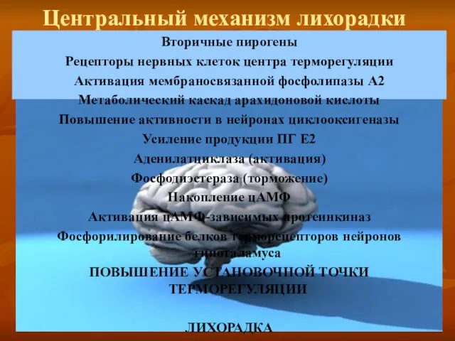 Центральный механизм лихорадки Вторичные пирогены Рецепторы нервных клеток центра терморегуляции