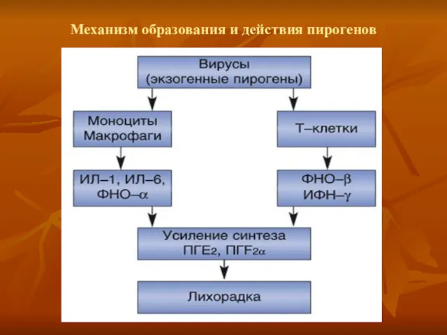 Механизм образования и действия пирогенов