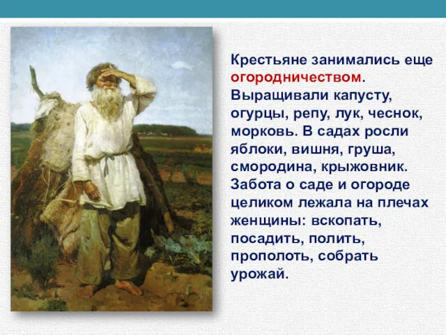 Крестьяне занимались еще огородничеством. Выращивали капусту, огурцы, репу, лук, чеснок,