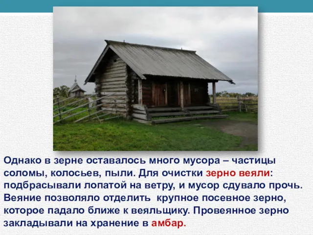 Однако в зерне оставалось много мусора – частицы соломы, колосьев,