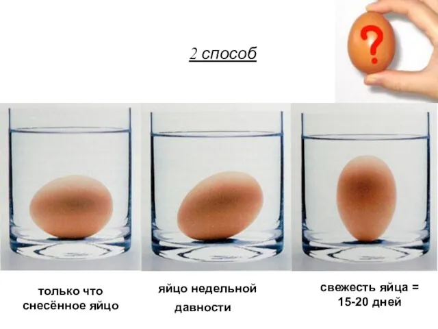 яйцо недельной давности свежесть яйца = 15-20 дней только что снесённое яйцо 2 способ