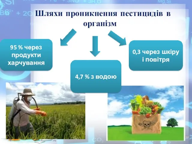 Шляхи проникнення пестицидів в організм 95 % через продукти харчування