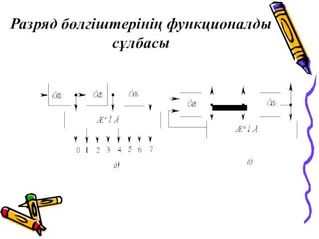 Разряд бөлгіштерінің функционалды сұлбасы