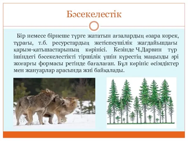 Бәсекелестік Бір немесе бірнеше түрге жататын ағзалардың өзара корек, тұрағы,