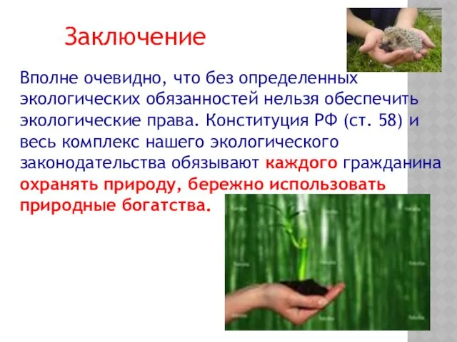 Вполне очевидно, что без определенных экологических обязанностей нельзя обеспечить экологические