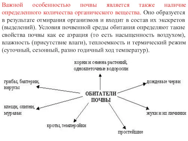 Важной особенностью почвы является также наличие определенного количества органического вещества.