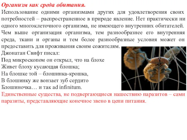 Организм как среда обитания. Использование одними организмами других для удовлетворения