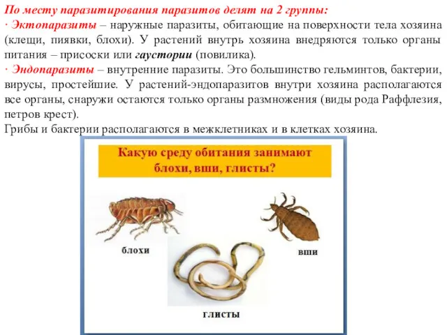 По месту паразитирования паразитов делят на 2 группы: · Эктопаразиты